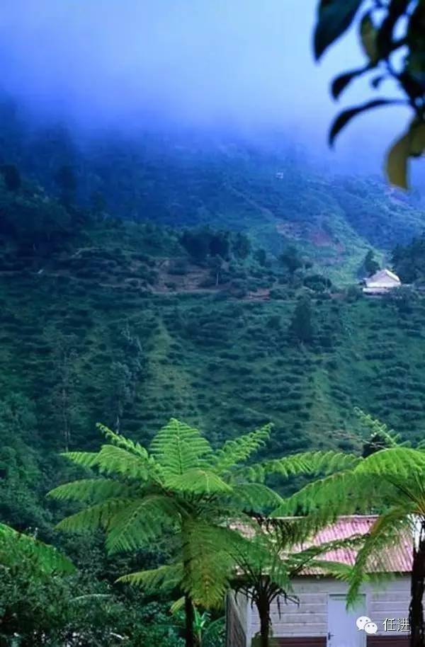 这货也是奢侈品？