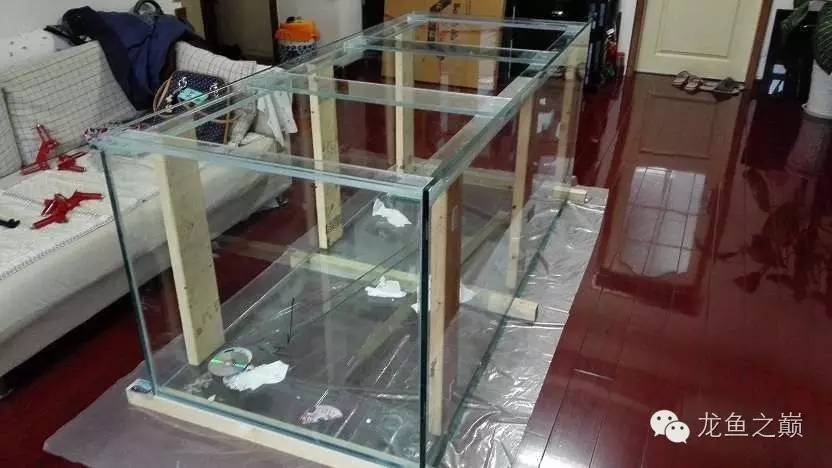 超级白,超会做,这才叫养鱼!