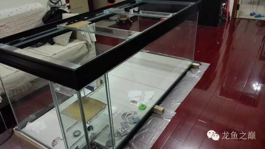 超级白,超会做,这才叫养鱼!