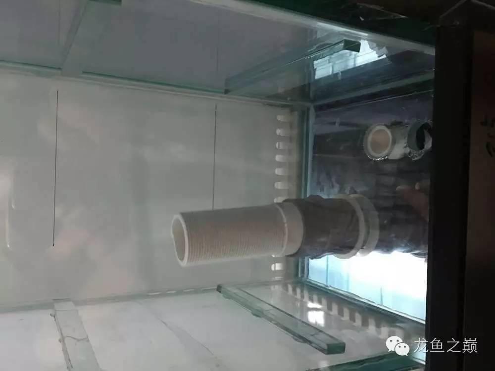 超级白,超会做,这才叫养鱼!