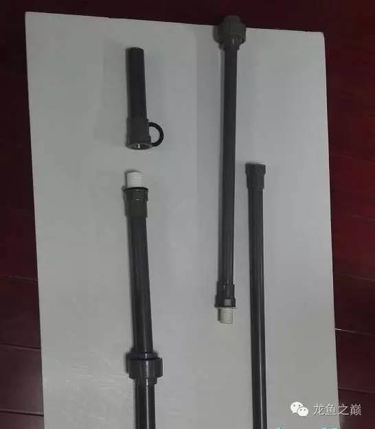 超级白,超会做,这才叫养鱼!