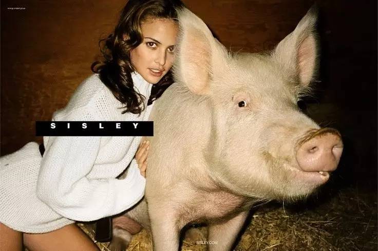 总是性挑逗的CK,这次的广告又被举报了