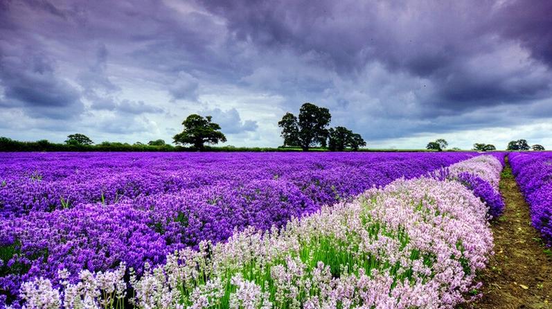 还有人说苏锡常吗,国务院批准常州市城市总体规划