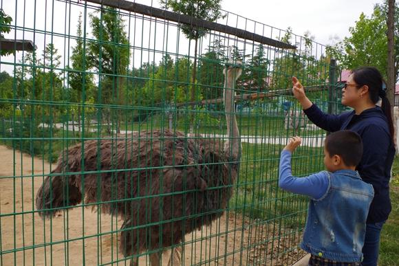 园林鲜氧生活,走进大自然感受惬意的生活