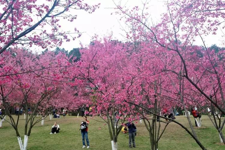 在南宁一定要做的事情,南宁必须知道的十件事
