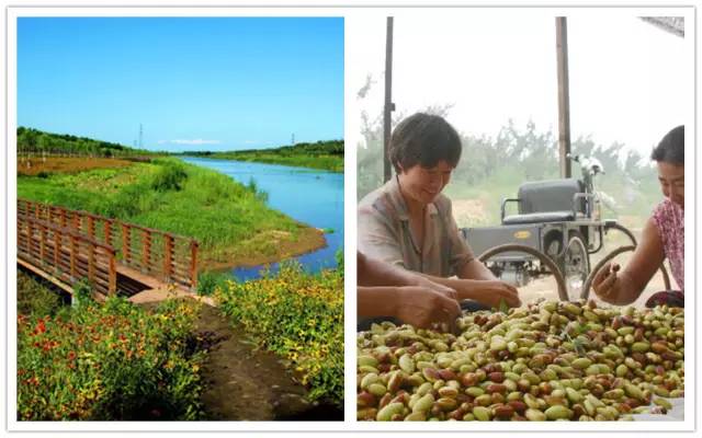 天津刻在骨子里的哏都,为什么天津被称为哏都
