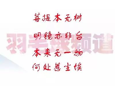 乐视体育赛事服务,乐视体育赛事