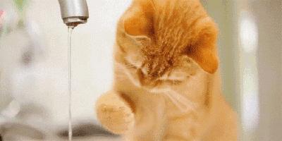 夏天护肤品手册,这些夏季护肤秘籍你get到了吗