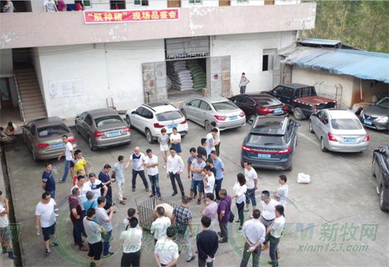 屠宰场杀猪的情况,生猪屠宰场杀猪实拍