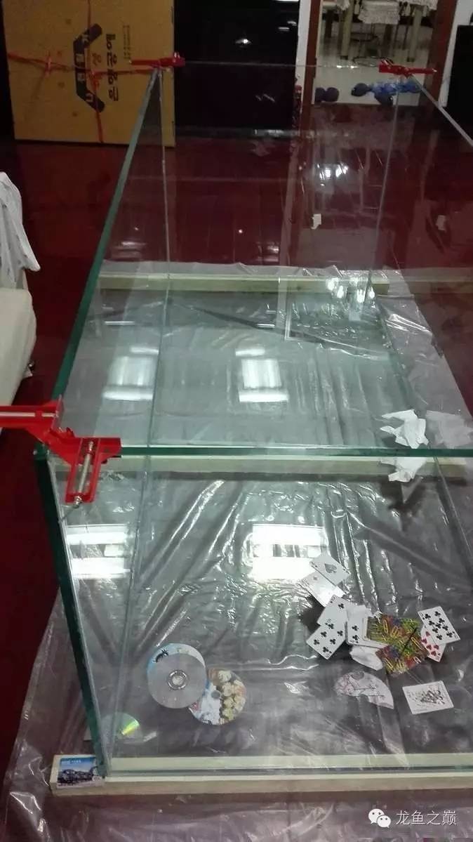 超级白,超会做,这才叫养鱼!