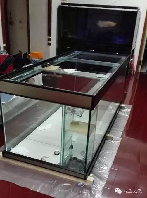 超级白,超会做,这才叫养鱼!