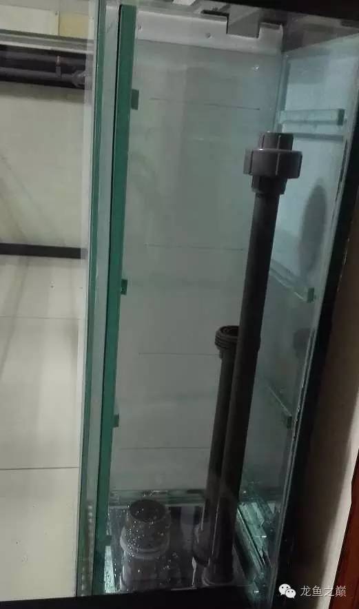 超级白,超会做,这才叫养鱼!