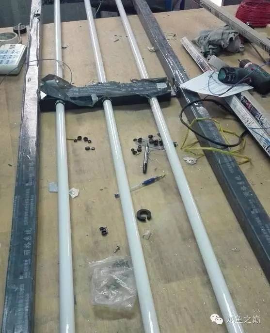 超级白,超会做,这才叫养鱼!