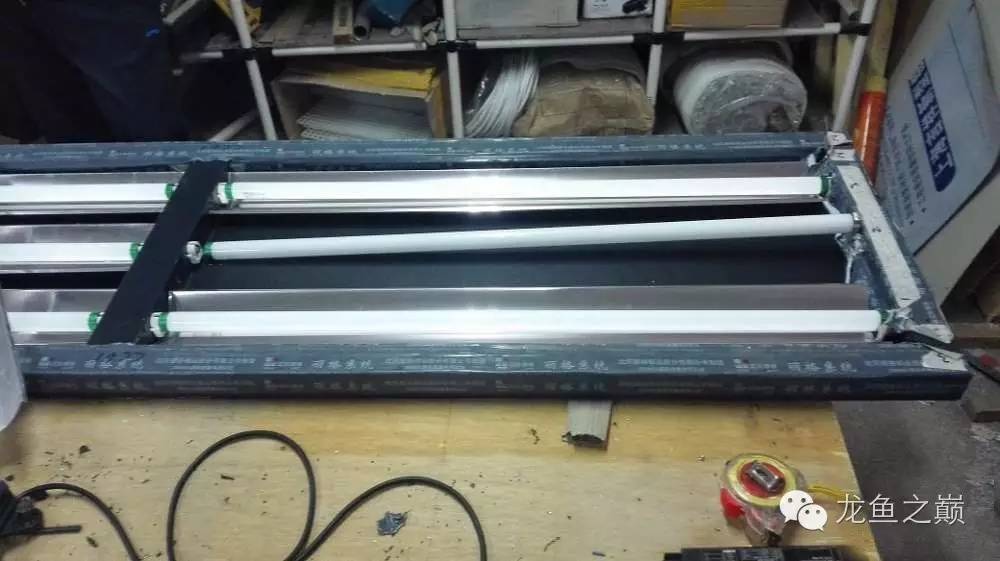 超级白,超会做,这才叫养鱼!