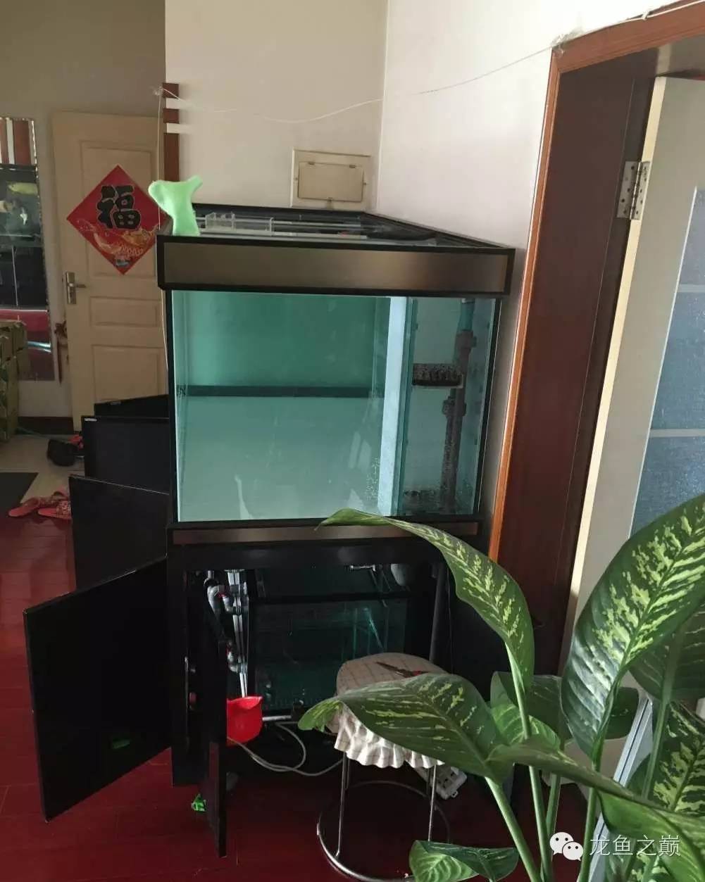 超级白,超会做,这才叫养鱼!