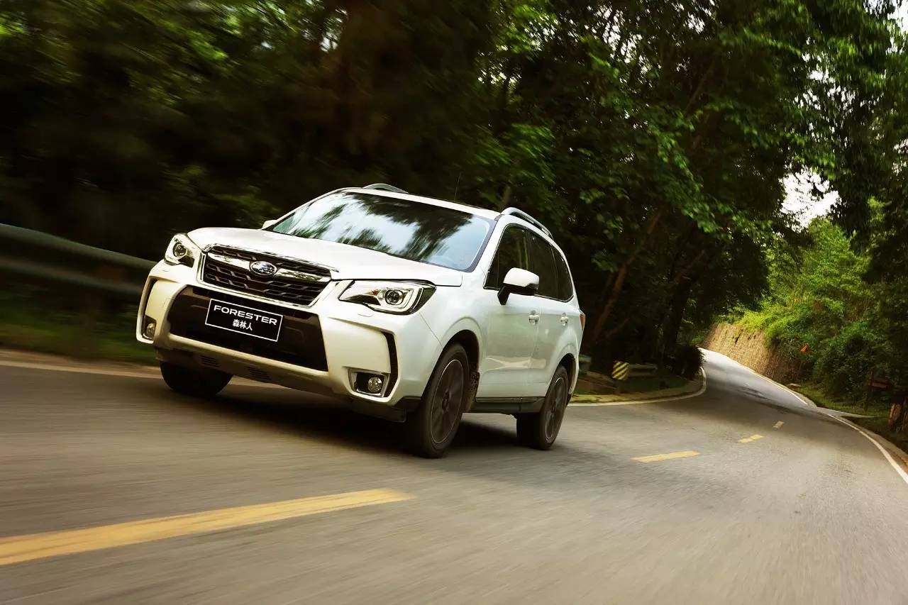 斯巴鲁2.0t森林人油耗2016款,无印良品森林系