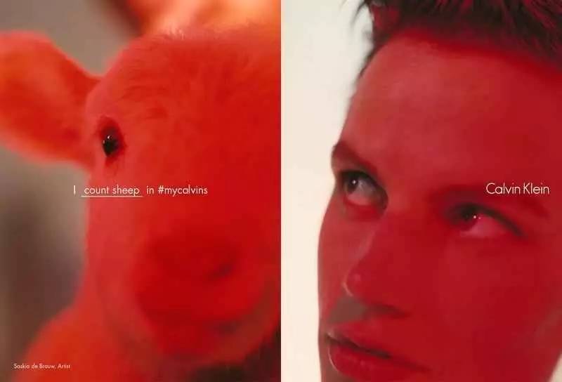 总是性挑逗的CK,这次的广告又被举报了