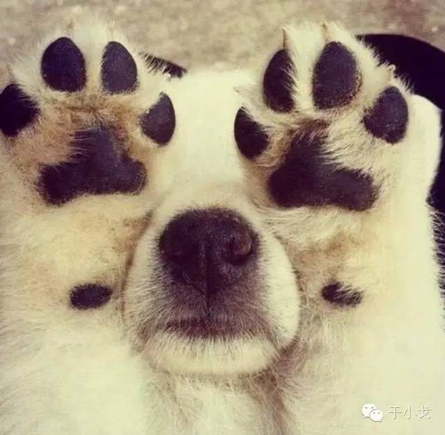 轻易离开你的朋友不值得深交,别怕一定会有不舍得丢下你的人