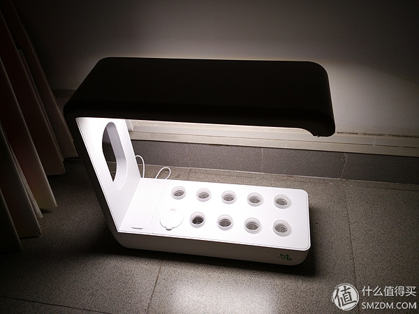 我的秘密菜园,我的秘密小菜地