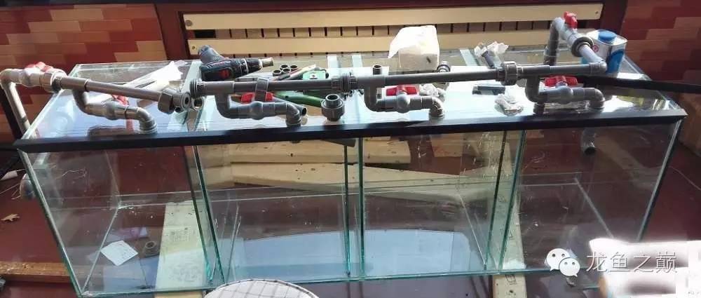 超级白,超会做,这才叫养鱼!