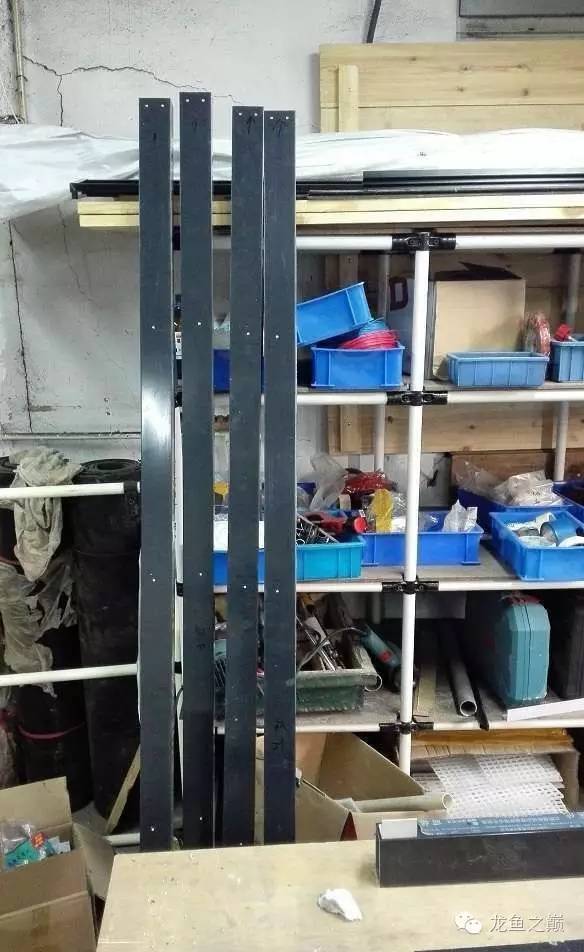 超级白,超会做,这才叫养鱼!