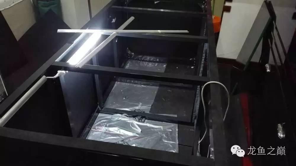 超级白,超会做,这才叫养鱼!