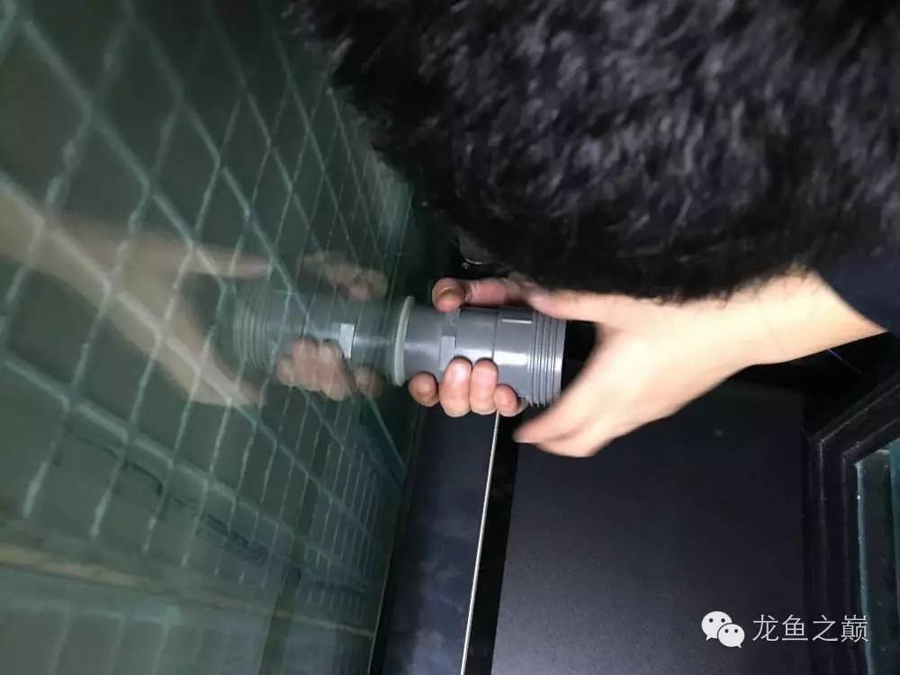 超级白,超会做,这才叫养鱼!