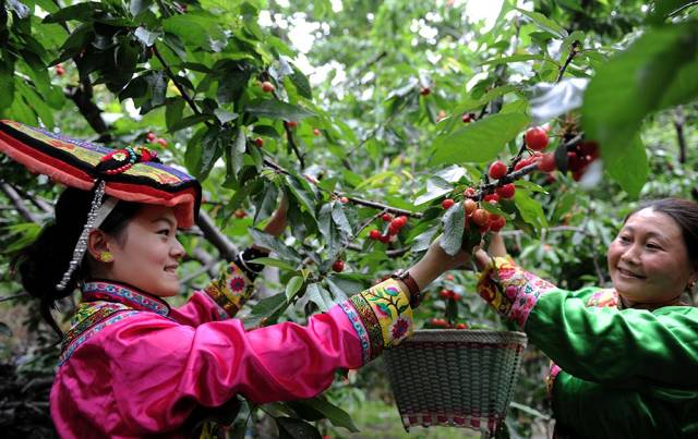 以樱桃为主题的名字,以樱桃的名义约会