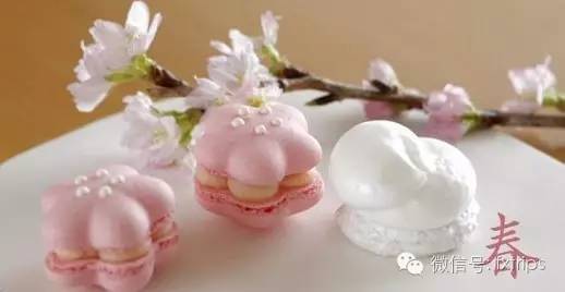 去日本带回来什么礼物,去日本送朋友什么礼物