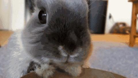 夏天护肤品手册,这些夏季护肤秘籍你get到了吗