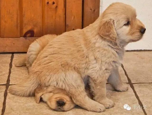 轻易离开你的朋友不值得深交,别怕一定会有不舍得丢下你的人