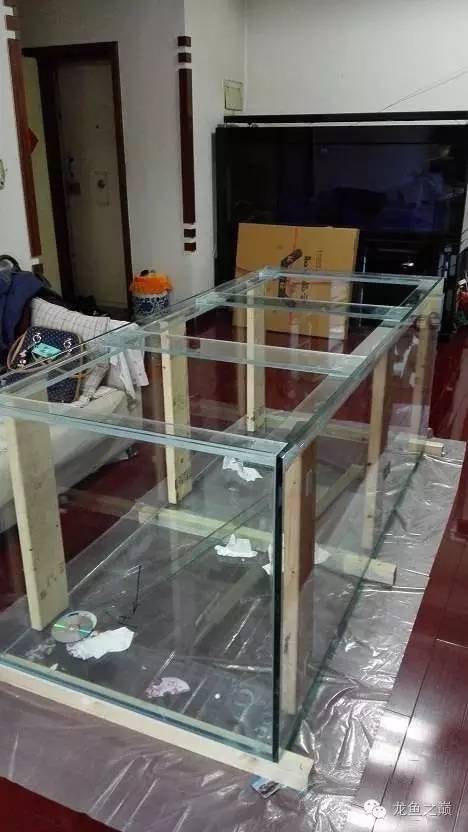 超级白,超会做,这才叫养鱼!