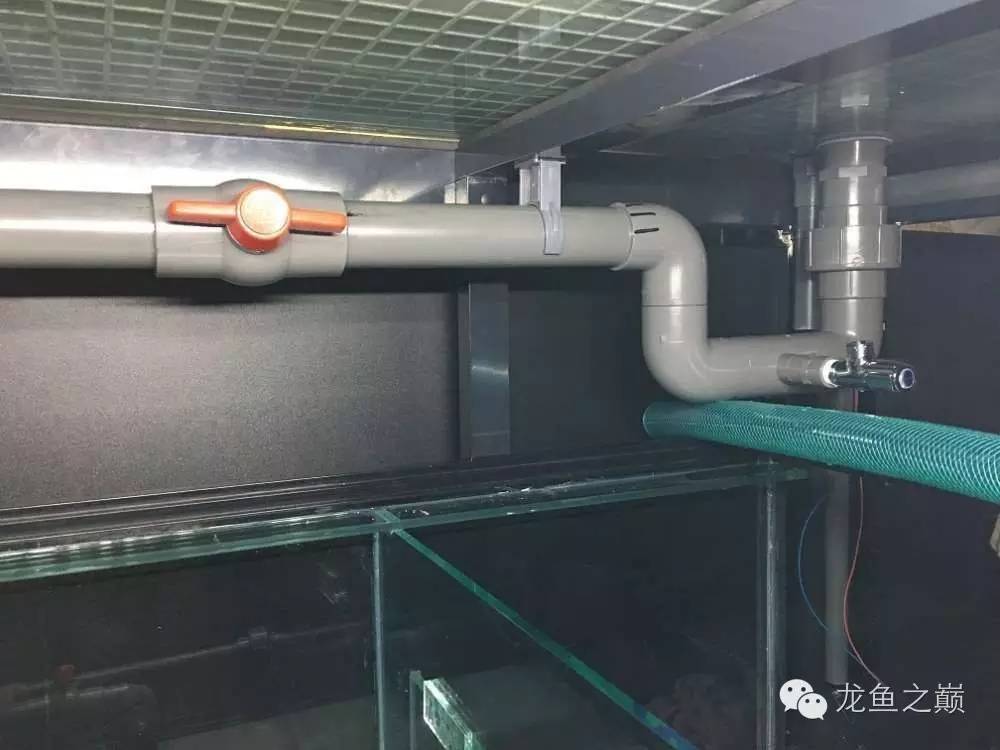 超级白,超会做,这才叫养鱼!