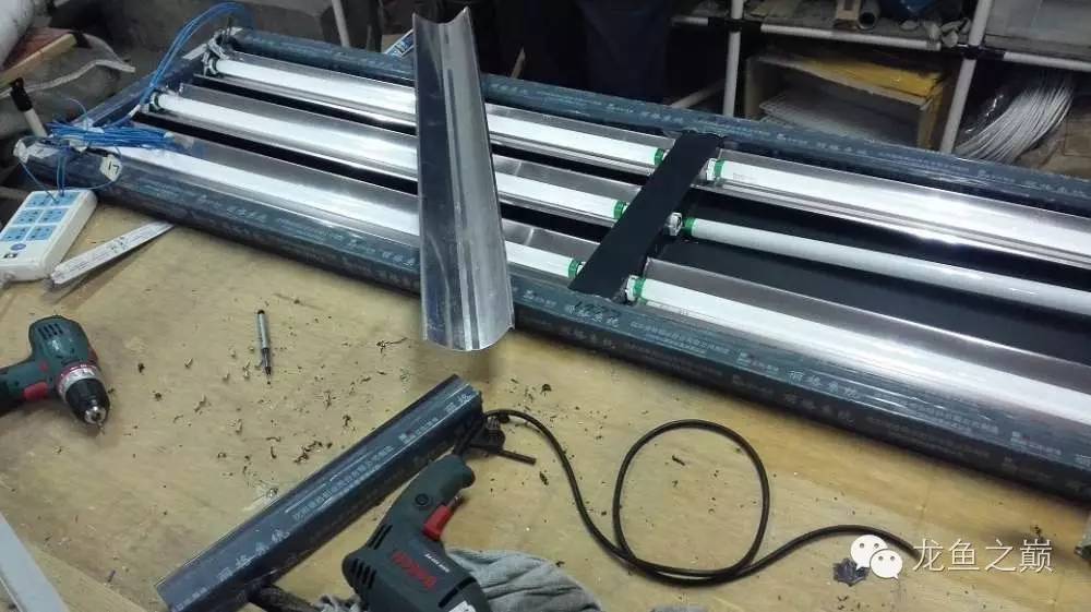 超级白,超会做,这才叫养鱼!