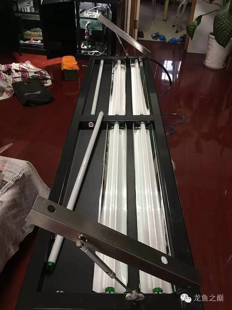 超级白,超会做,这才叫养鱼!