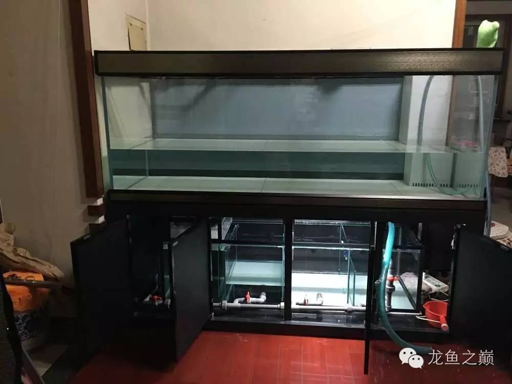 超级白,超会做,这才叫养鱼!