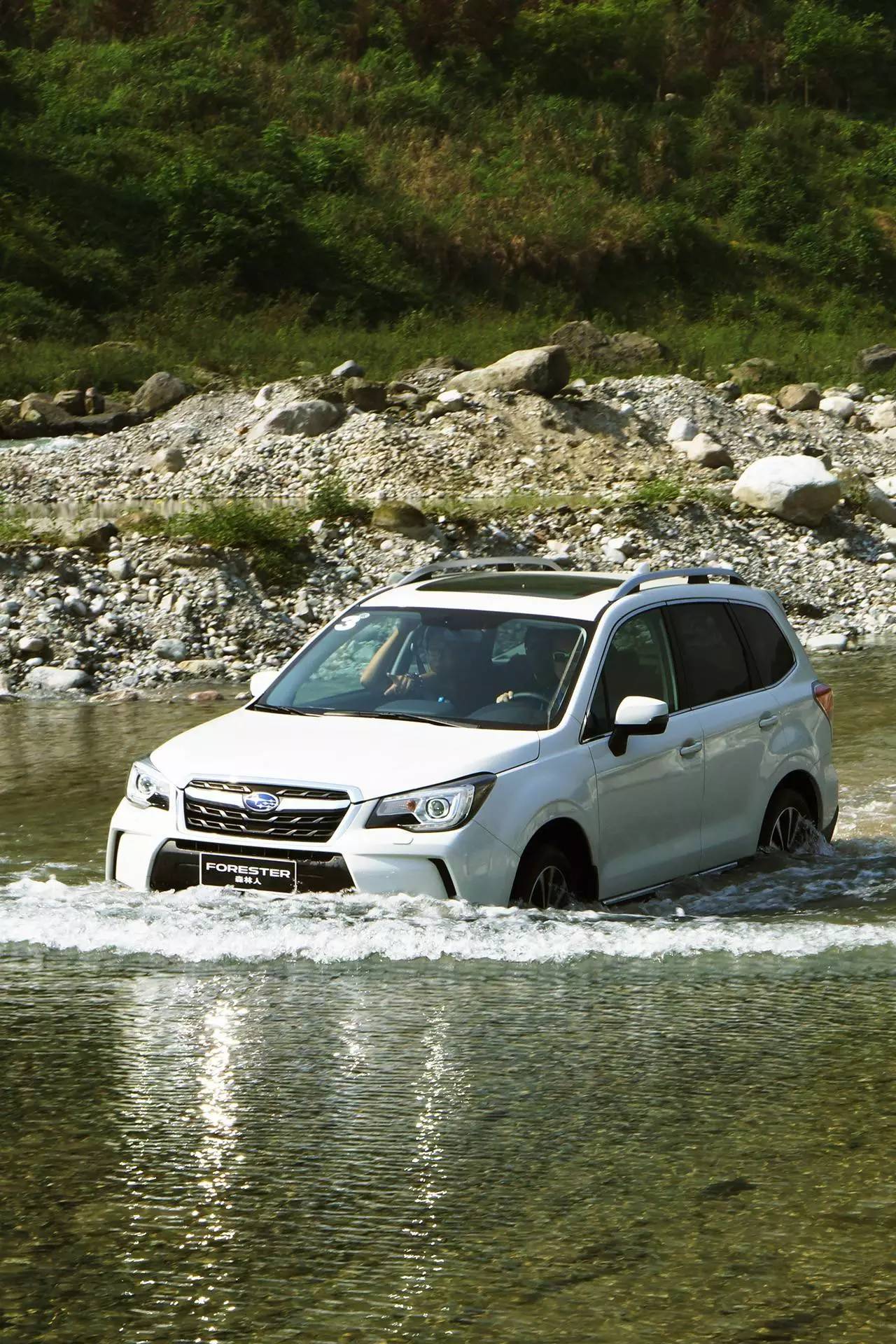 斯巴鲁2.0t森林人油耗2016款,无印良品森林系