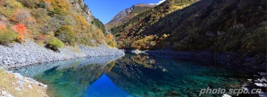 以樱桃为主题的名字,以樱桃的名义约会