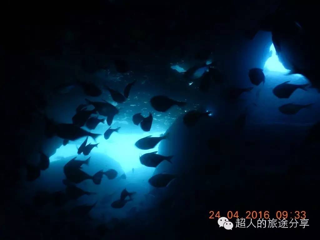 潜水芽庄,芽庄哪个岛适合潜水