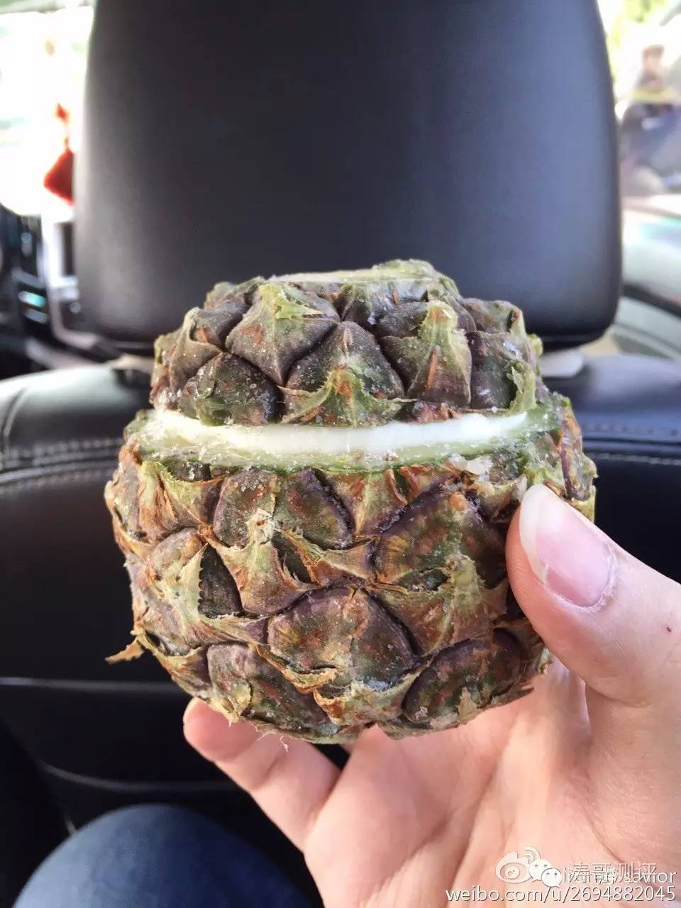 常州游记,苏南游记常州