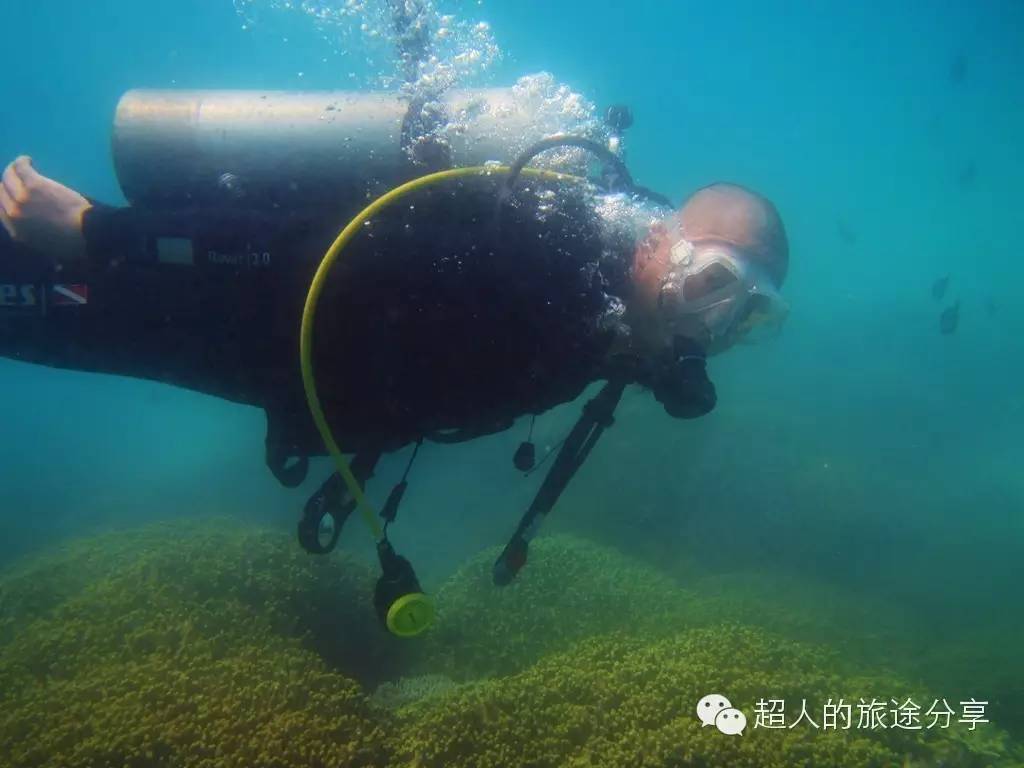 潜水芽庄,芽庄哪个岛适合潜水