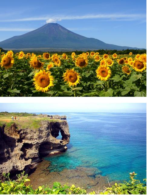 一家三口日本旅游,世界那么大带你去旅游