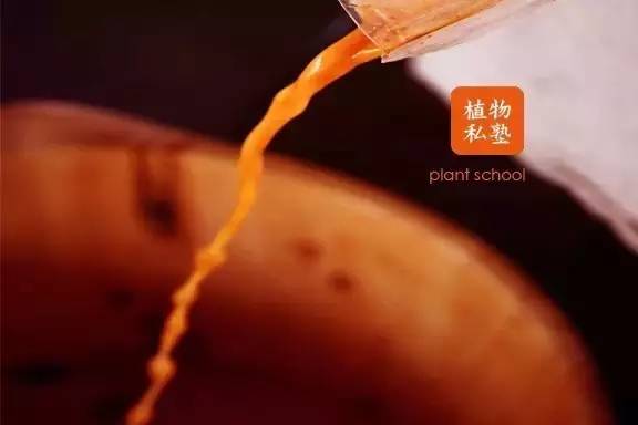 江南碧苍苍，五月枇杷黄