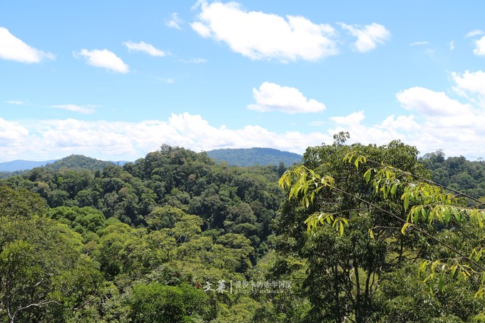 吴尊文莱照片,吴尊文莱最帅的照片