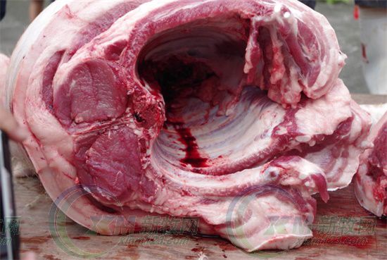 屠宰场杀猪的情况,生猪屠宰场杀猪实拍