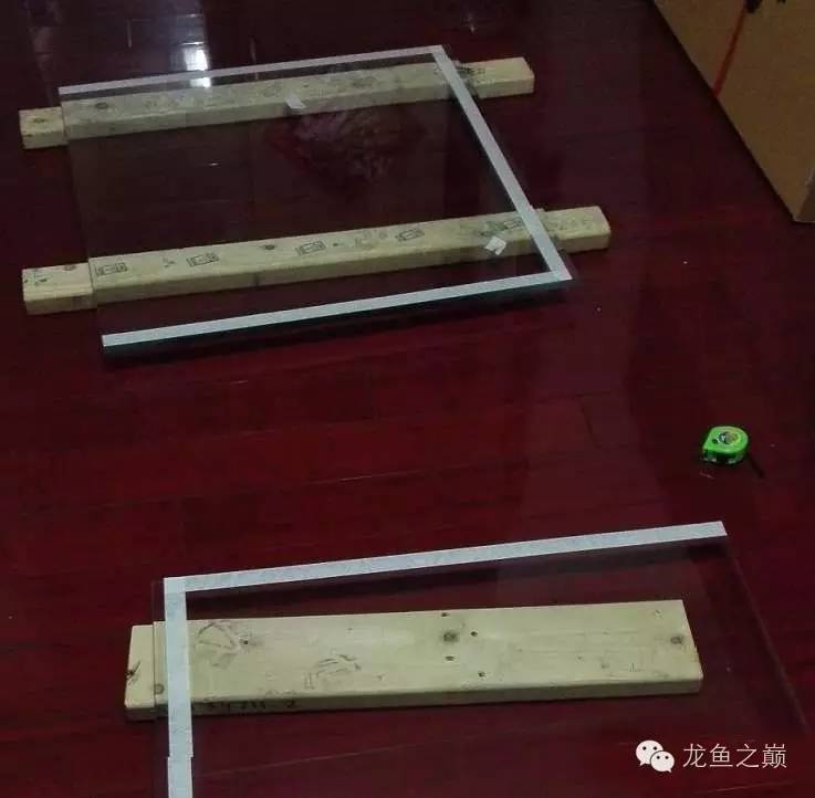 超级白,超会做,这才叫养鱼!