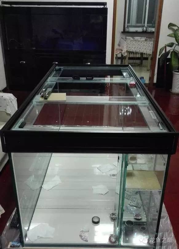 超级白,超会做,这才叫养鱼!