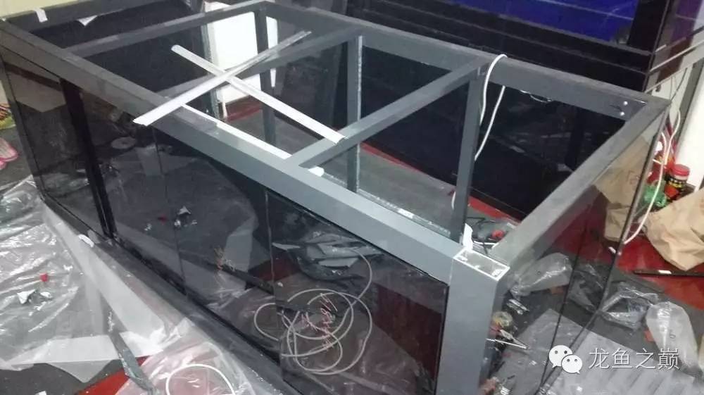 超级白,超会做,这才叫养鱼!