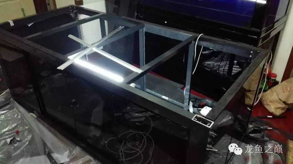 超级白,超会做,这才叫养鱼!