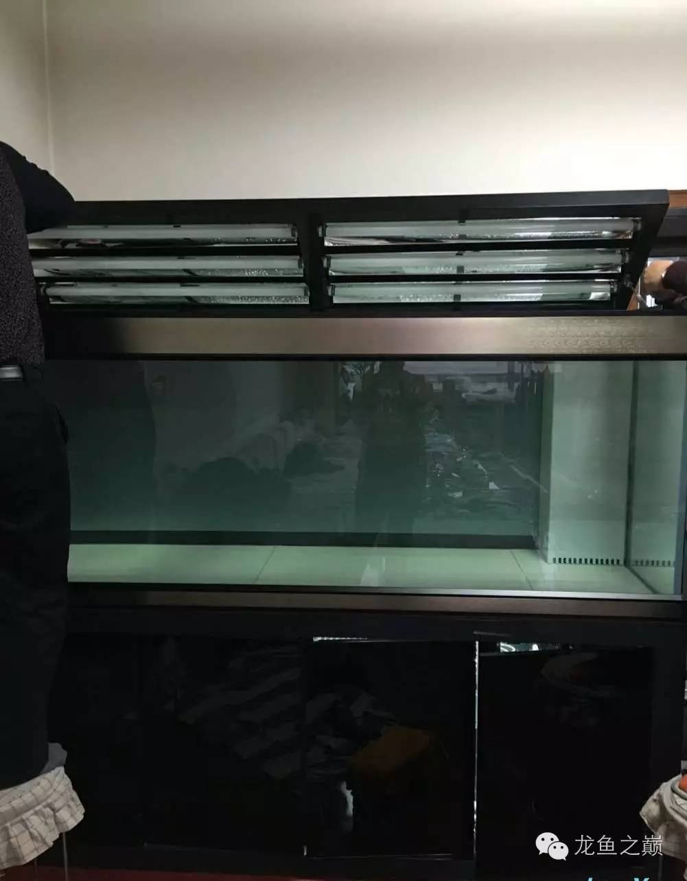 超级白,超会做,这才叫养鱼!